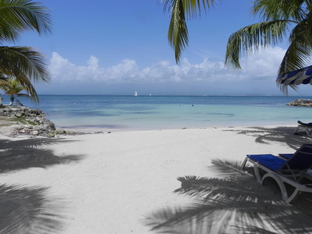 Appartement Bord De Mer Tres Fonctionnel , Sur La Plage & Vue Mer Exceptionnelle Ле Госие Стая снимка