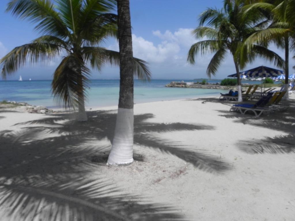 Appartement Bord De Mer Tres Fonctionnel , Sur La Plage & Vue Mer Exceptionnelle Ле Госие Стая снимка